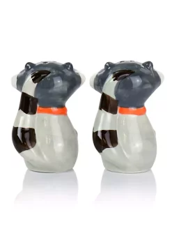 Gibson Home Woodland Raccoon 2 Piece Hard Dolomite Salt and Pepper Set -Fossil store Belk 1146